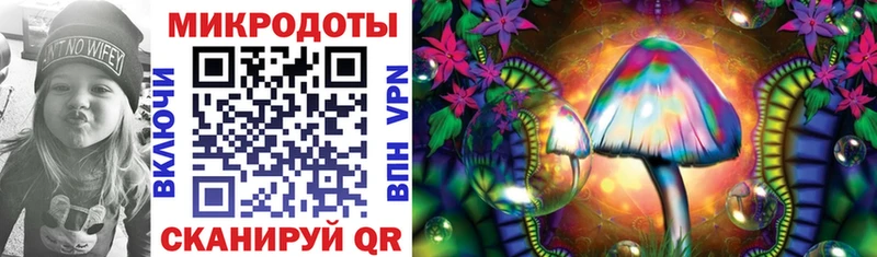 Купить Ростов-на-Дону Псилоцибиновые грибы Cubensis